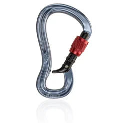 Black Diamond Schwarz Diamond Gridlock Screwgate Carabiner - AW24
