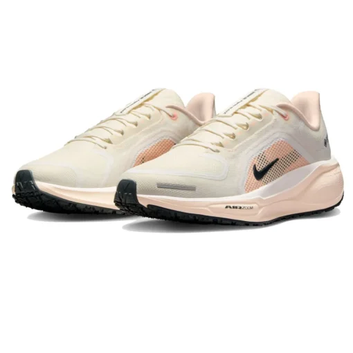 Nike Air Zoom Pegasus 41 GORE-TEX Damen Laufschuhe - HO24