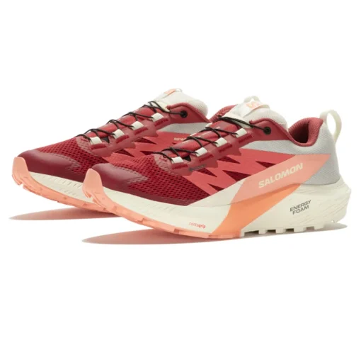 Salomon Sense Ride 5 GORE-TEX Damen Trail Laufschuhe