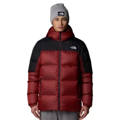The North Face Diablo Down 2.0 Hooded Jacke